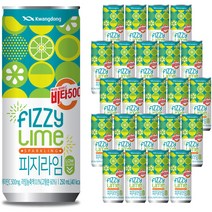 비타500 피지라임, 24개, 250ml