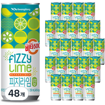 비타500 피지라임, 48개, 250ml