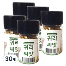 힐링타임 캣그라스 씨앗, 귀리, 30개