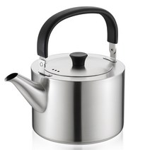 데이세븐 토르 스테인레스 인덕션 주전자 304, 2.5L, 혼합색상