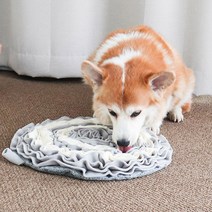 딩동펫 반려동물 플레이 노즈워크, 혼합색상, 1개