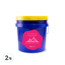 바스참 히말라야 핑크솔트 가는입자 입욕제, 10kg, 2개