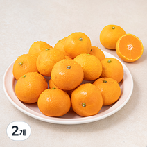 다조은 강서시장 새벽경매 하우스 감귤, 800g, 2개