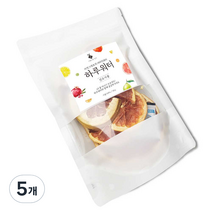 아름다운정성 하루워터 자몽칩, 5개, 50g