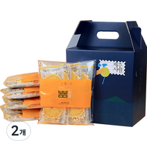 제주커머스 봄봄 과즐 한라봉 5p, 1000g, 2개