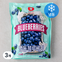 베리벨리 칠레산 냉동 블루베리, 1.5kg, 3개