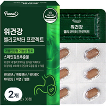 퍼니트 위건강 헬리코박터 프로젝트 18g, 30정, 2개