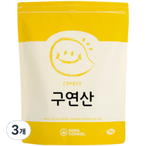 소다스쿨 구연산, 3kg, 3개