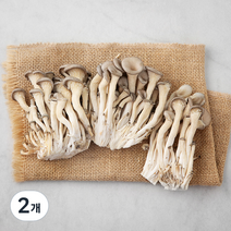 국내산 친환경 느타리버섯, 200g, 2개