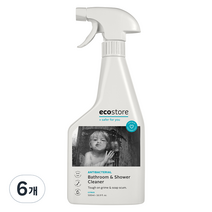 에코스토어 욕조 클리너 시트러스향, 500ml, 6개
