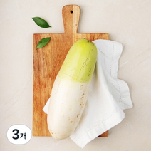 국내산 세척 무, 3개