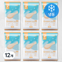하이독 강아지 화식사료 (냉동), 닭, 12개, 100g