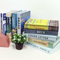 페이지127 인테리어 디스플레이 모형책 사이즈 15p 랜덤발송, Type A