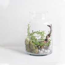 클리어 홀드 유리 화병
