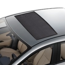 대형 선루프 자석 방충망, 블랙