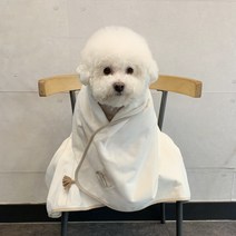 리토가토 반려동물 밀키웨이 포그니 담요, 아이보리