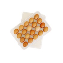 나누담 계란통 20구, 투명