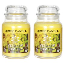 르미에 라지자 캔들 630g, 옐로우미모사, 2개
