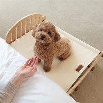 페시앙 강아지 고양이 클래식 펫 배드 내츄럴 우드, 아이보리