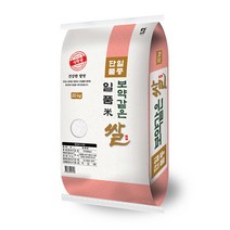 대한농산 2022년산 햅쌀 보약같은 일품쌀, 1개, 20kg(상등급)