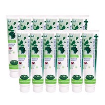 덴티스테 플러스 화이트 후레쉬 치약, 200g, 12개