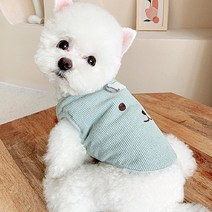 쁘띠도그 반려동물 츄이 골덴 조끼 DWV018, 민트