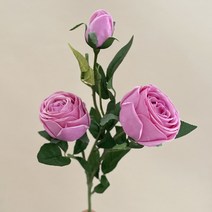 리디어스 장미조화, 바이올렛핑크