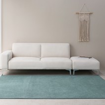 레씨앙뜨 비비드 슬럽 워셔블 러그