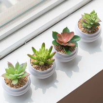 미니 다육 선인장 조화 화분 4p 세트, 1세트