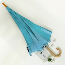 까르페디엠 60 우드 솔리드 골프 장우산, 민트