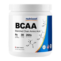 뉴트리코스트 BCAA 후르츠펀치맛, 1개, 264g