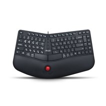 IPLEX 유선 트랙볼 키보드, 블랙, ERK1000TK, 인체공학