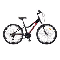 삼천리자전거 2023년식 21단 60.96cm 스팅거 SF MTB 자전거 + 무료조립쿠폰, 블랙, 157cm