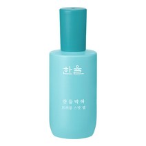 한율 산들박하 스팟 젤 대용량, 40ml, 1개