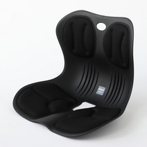 스마트체어 인체공학 자세교정 의자, 블랙