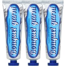 부케가르니 구취 케어 치약 스트롱 민트, 3개, 100g