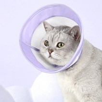 랜보어 반려동물 소프트 메쉬 넥카라, 퍼플