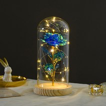 히즈플랜 LED 크리스탈 장미 무드등 E타입, 블루
