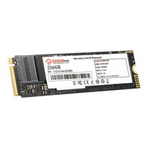 라사드 RASSD620 SSD M.2 NVMe, MTM8500512G, 512GB