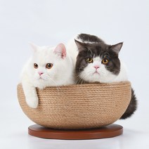 더풀문 고양이 바구니 스크래쳐, 혼합색상, 1개