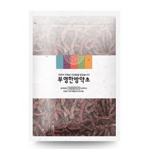 부영한방약초 레드비트 차, 200g, 1개