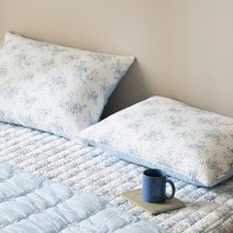 바니루이스 로잘린 아사리플 여름 베개커버 2p