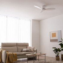 스피아노 샌디 미니 DC 우드 실링팬 107cm SCF-SW52070, 화이트(바디), 화이트(날개)