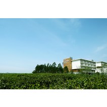 [제주] ★와우회원한정 10% 할인★제주 항공우주 호텔