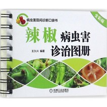 고추삼는기계 농기구 가정용고추기계 텃밭 농사 파종기 고추 질병 및 해충의 진단 및 치료 A M I P W J 편집 작업 J 정품 심기
