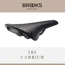 브룩스 캠비움 올웨더 C19 안장