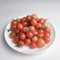 스테비아 대추 방울토마토 500g 1kg 2kg 망고향 토망고 다이어트 샐러드 고당도, 대추방울토마토1kg