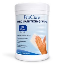 프로큐어 핸드 세니타이징 와이프 티슈 160매 ProCure Hand Sanitizing Wipes, 1개