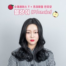 가발닷컴 수제 통가발 레이스T 아웃컬 S컬 웨이브 스타일 전체가발, 1개, 레이스 프론트 T 블랑쉬 (자연검정/프리사이즈)