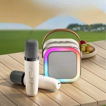 가정용 기계 노래방 블루투스 차량용 마이크 이동식, 화이트-듀얼마이크